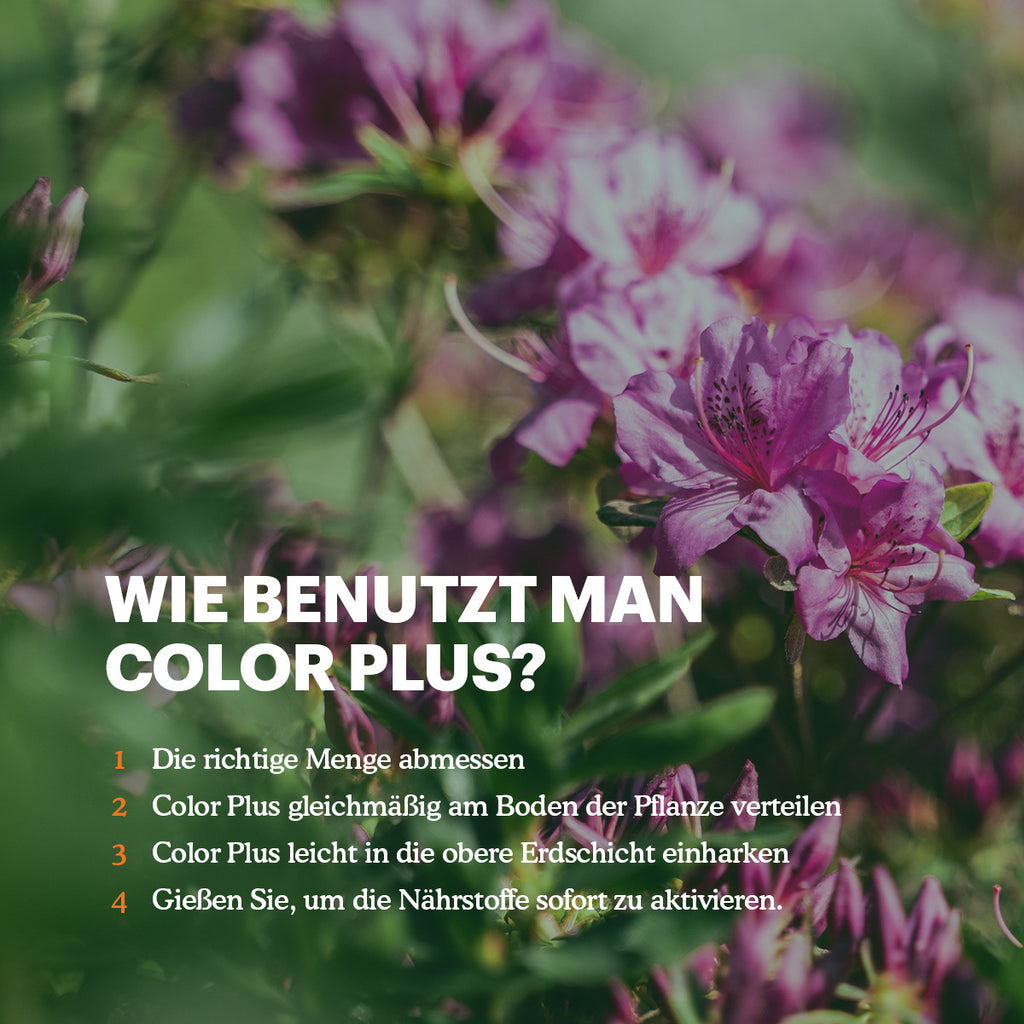 Joyfields Color Plus – Dünger für Rhodo, Hortensien und Azaleen [de]