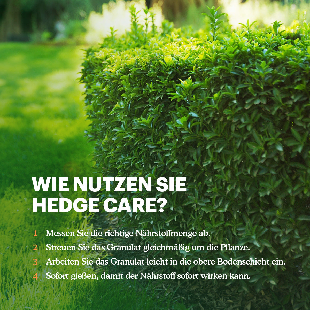 Joyfields Hedge Care – Dünger für Hecken, Eiben und Koniferen [de]