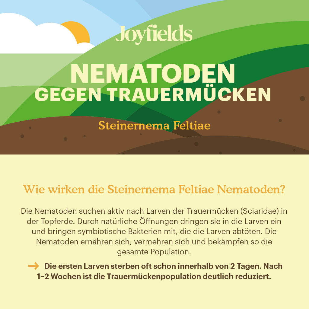 Joyfields Nematoden gegen Trauermücken (Steinernema feltiae) [de]