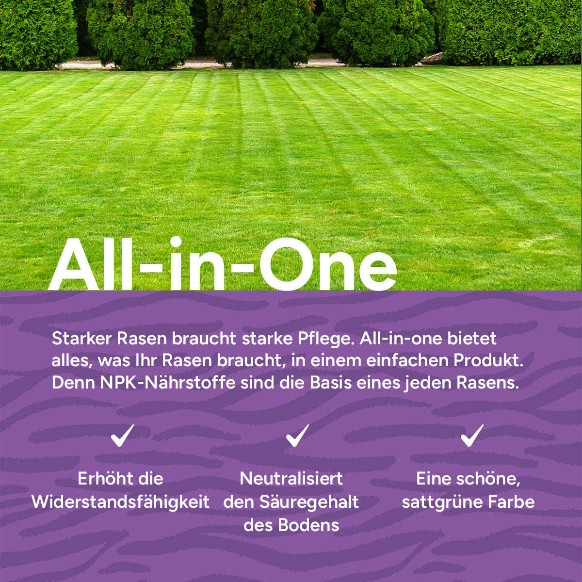 MRS Seeds & Mixtures All-In-One - Rasendünger mit Kalk | 20KG-500m2 [de]