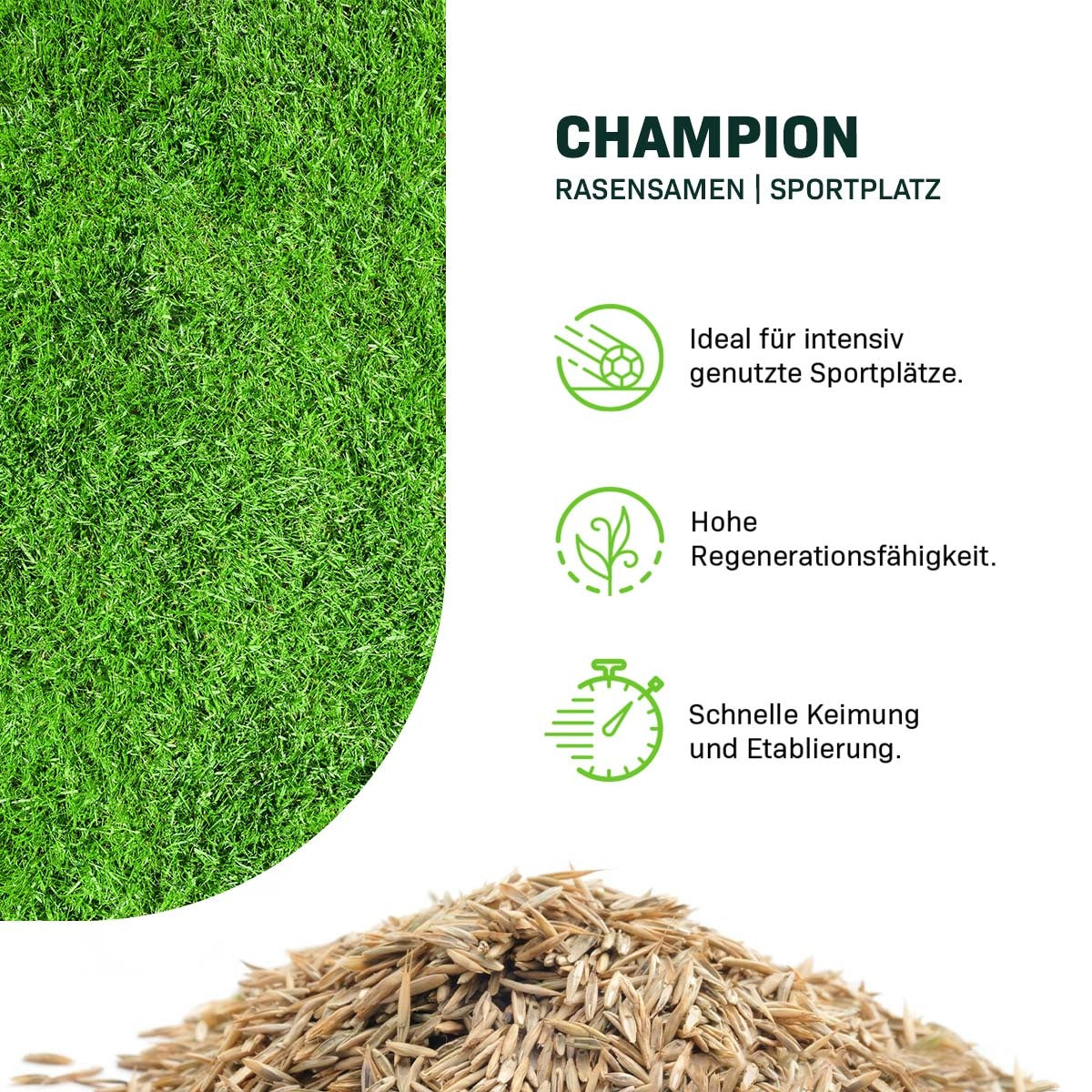 MRS Seeds & Mixtures Champion - Rasensamen | Sportplatz [de]