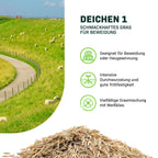 MRS Seeds & Mixtures Deichen 1 - 15 kg | Schmackhaftes Gras für Beweidung [de]