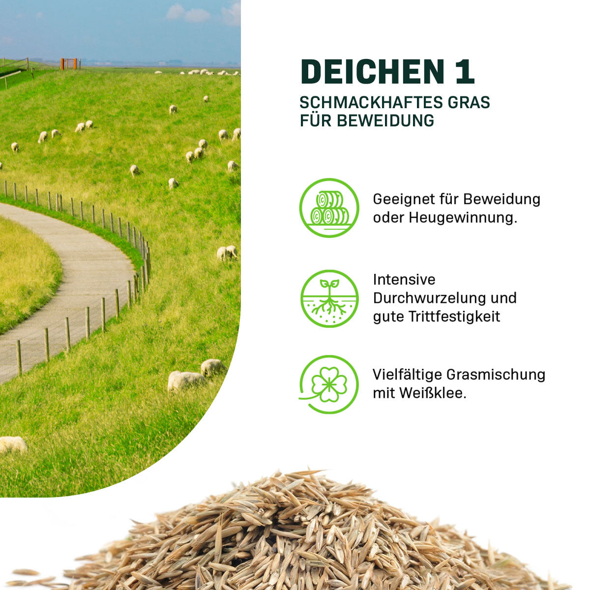 MRS Seeds & Mixtures Deichen 1 - 15 kg | Schmackhaftes Gras für Beweidung [de]