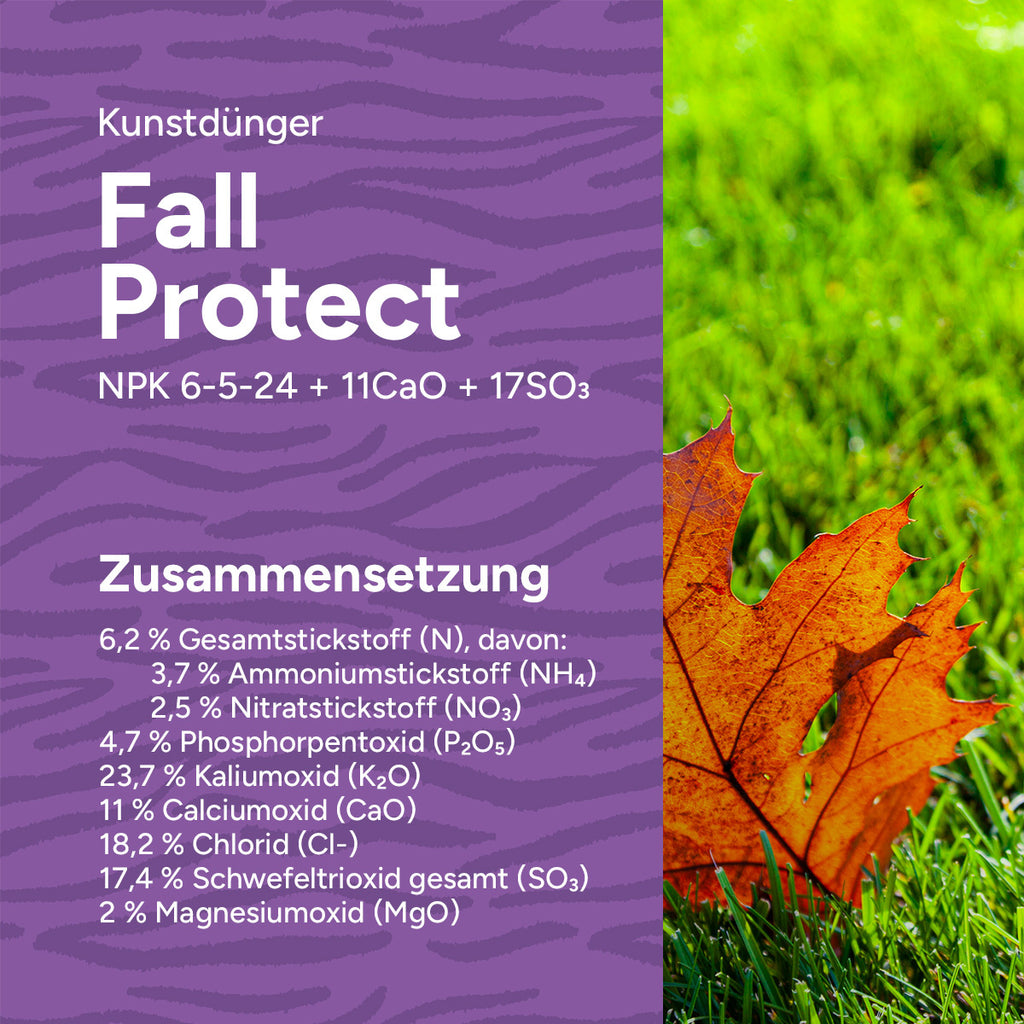 MRS Seeds & Mixtures Fall Protect - Rasendünger Herbst | 20KG-500m2 [de]