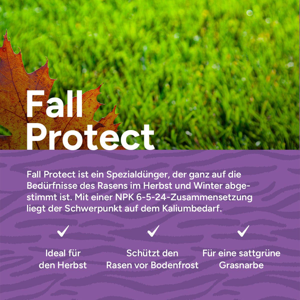 MRS Seeds & Mixtures Fall Protect - Rasendünger Herbst | 20KG-500m2 [de]