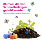 MRS Seeds & Mixtures Flower Bombs - Samenbomben mix - Frohe Feiertage! [de]