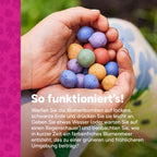 MRS Seeds & Mixtures Flower Bombs - Samenbomben mix - Herzlichen Glückwunsch! [de]