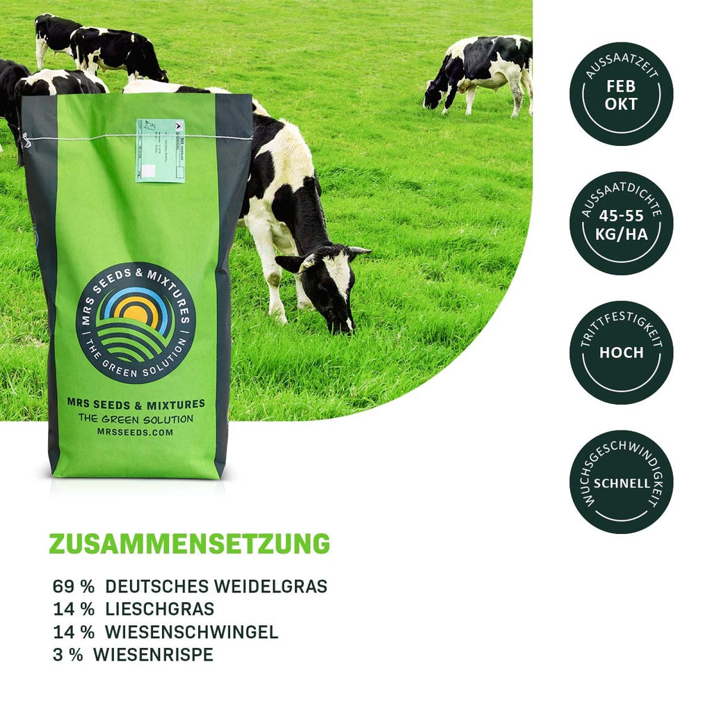 MRS Seeds & Mixtures Graze - Dauergrünland 11 | Weidemischung [de]