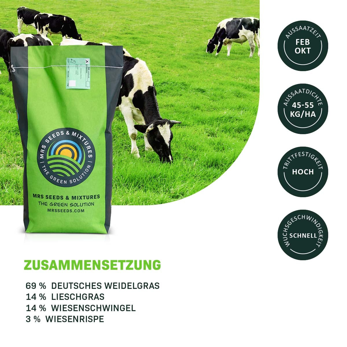 MRS Seeds & Mixtures Graze - Dauergrünland 11 | Weidemischung [de]