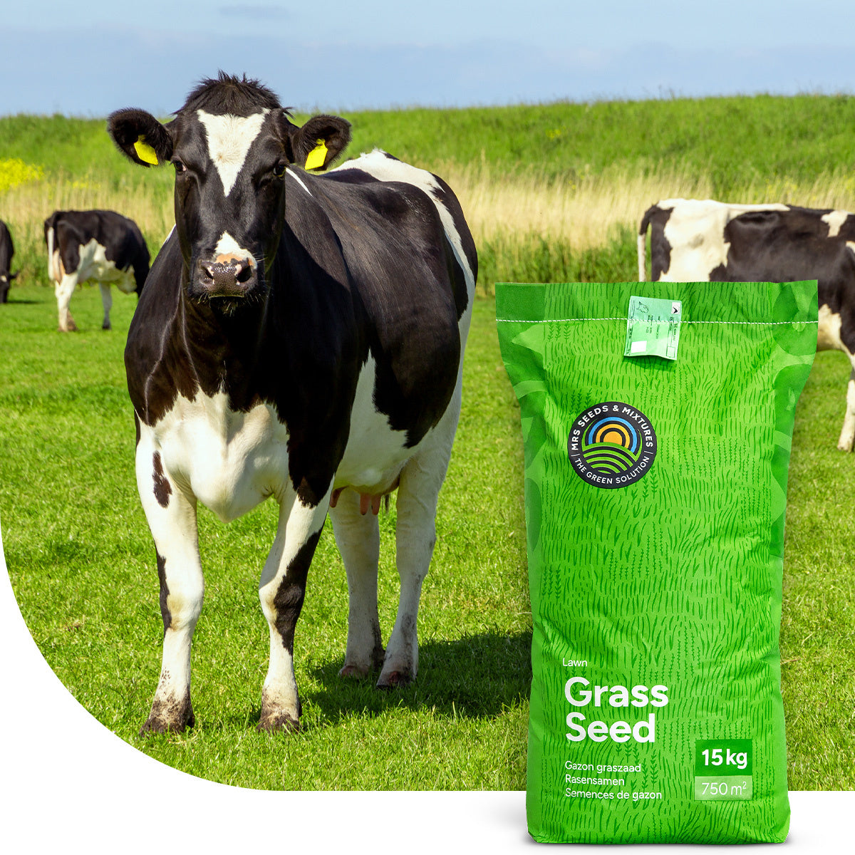 MRS Seeds & Mixtures Graze - Dauergrünland 4 - 15KG [de]
