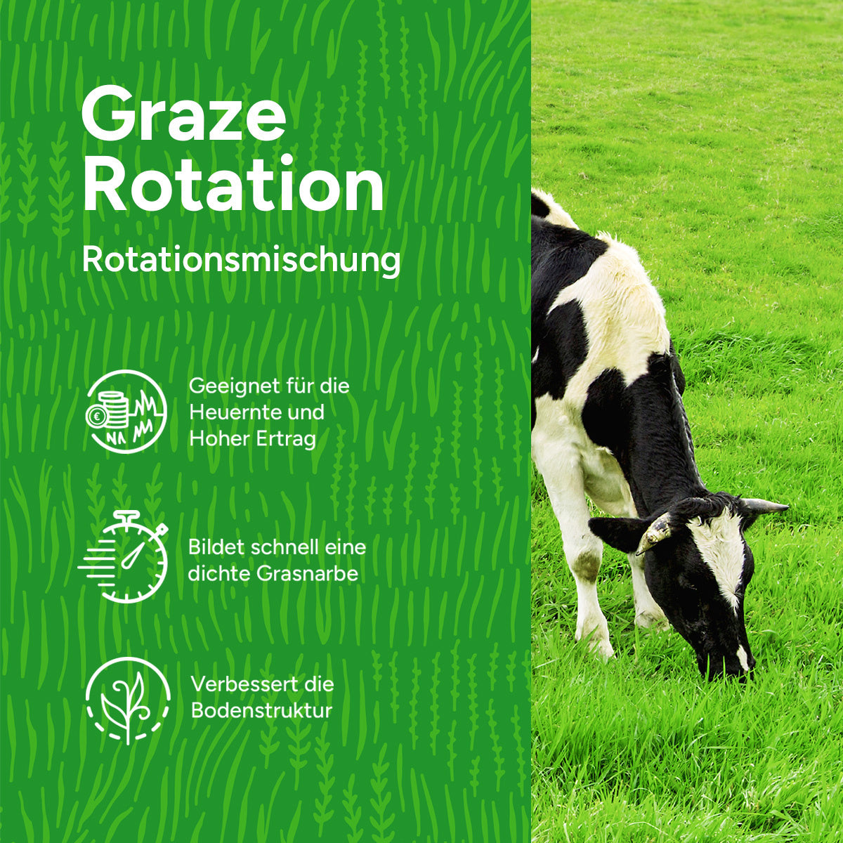 MRS Seeds & Mixtures Graze - Rotation | Rotationsmischung 15 kg [de]