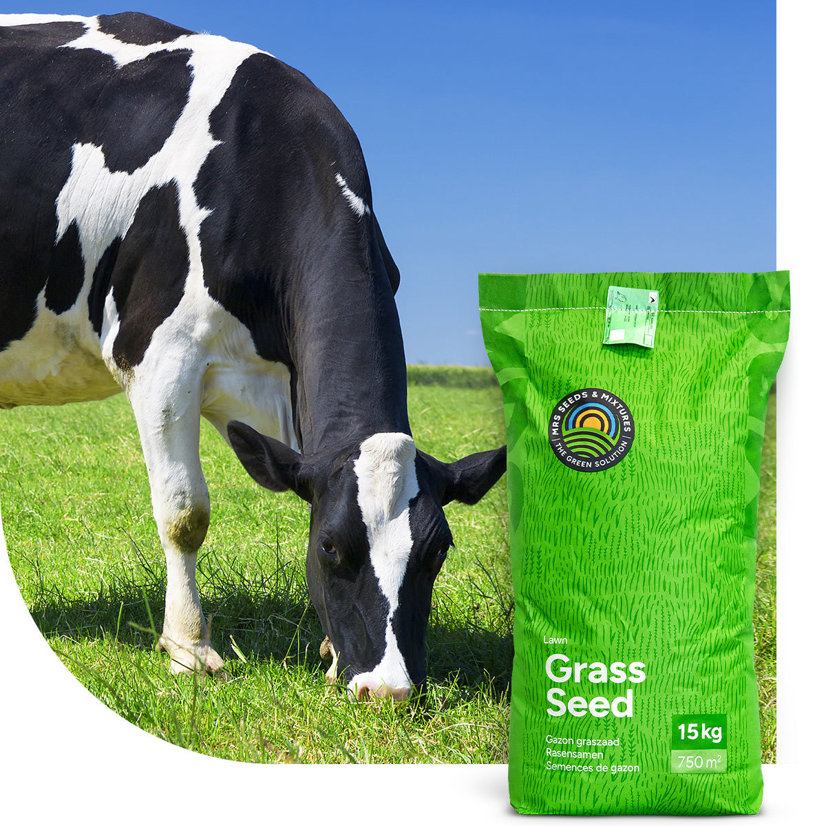 MRS Seeds & Mixtures Graze - Rotation | Rotationsmischung 15 kg [de]