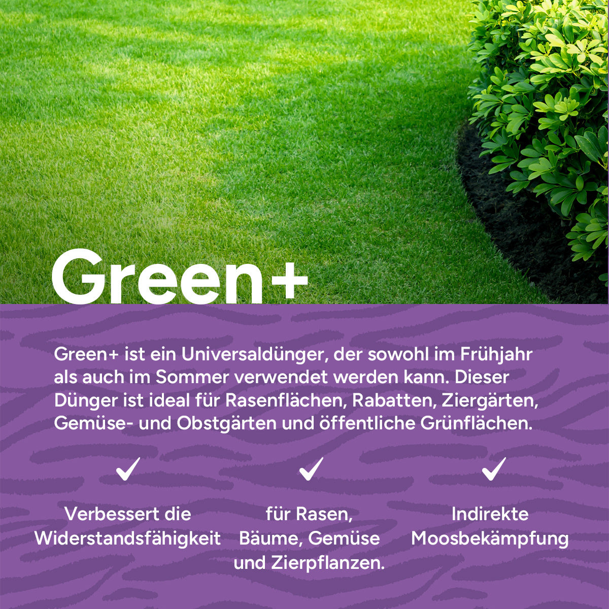 MRS Seeds & Mixtures Green+  Extra Grün + Anti Moos | 20KG-500m2 [de]