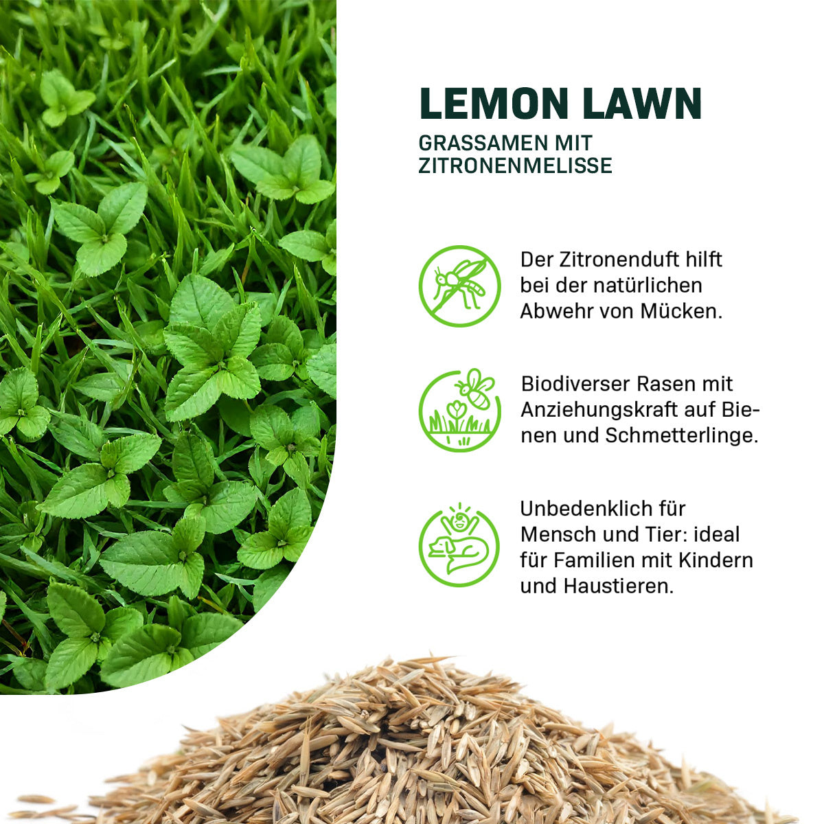 MRS Seeds & Mixtures Lemon Lawn - Mückenschutz-Rasen [de]
