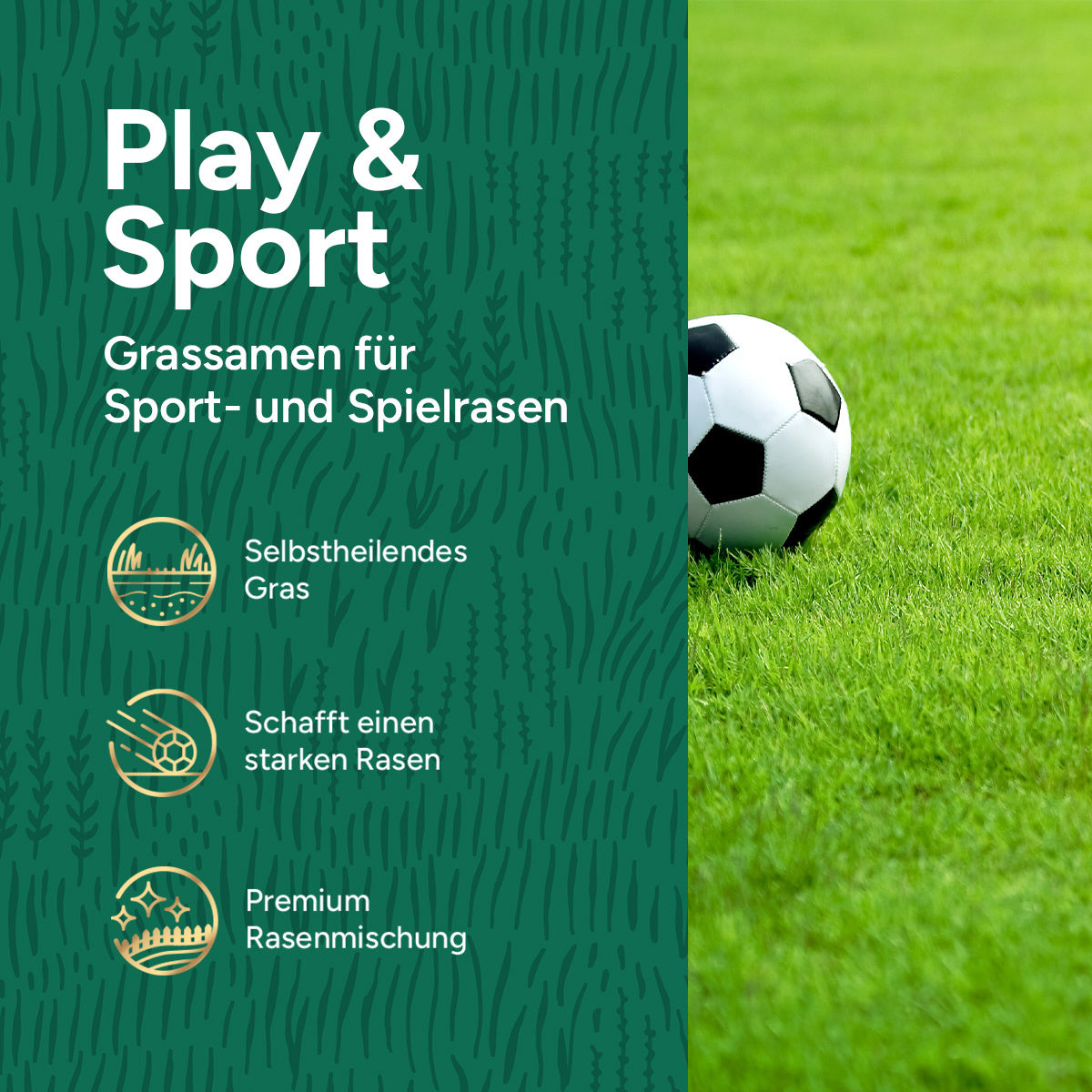 MRS Seeds & Mixtures Play & Sport Premium - Rasensaat für einen Spielrasen 10 kg [de]