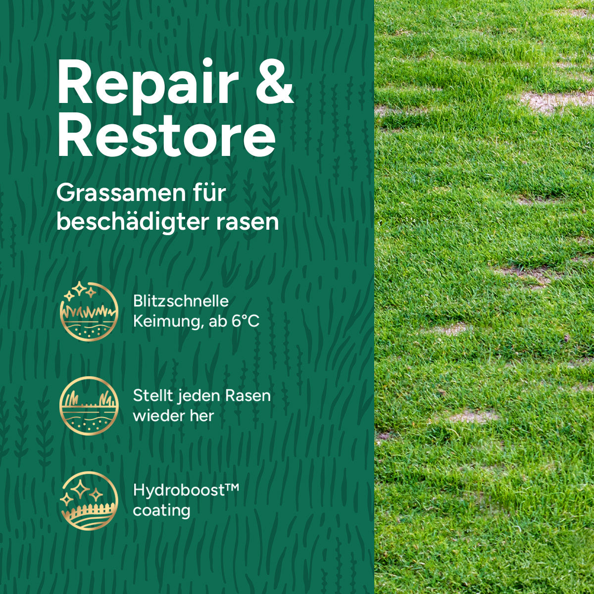 MRS Seeds & Mixtures Repair & Restore Premium - Rasensamen Nachsaat 10 kg [de]