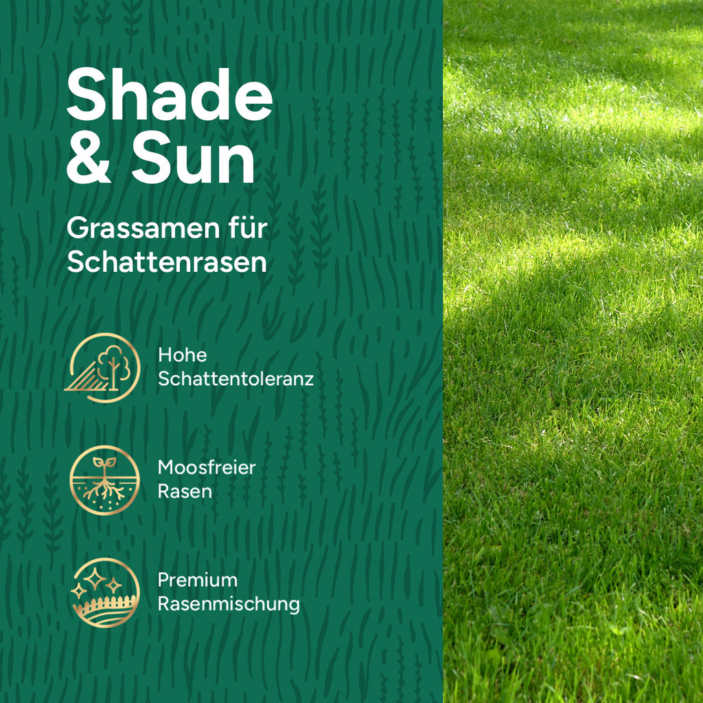 MRS Seeds & Mixtures Shade & Sun Premium - Rasensamen für Schattenlagen 10 kg [de]