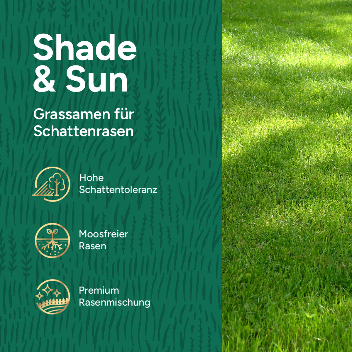 MRS Seeds & Mixtures Shade & Sun Premium - Rasensamen für Schattenlagen 10 kg [de]