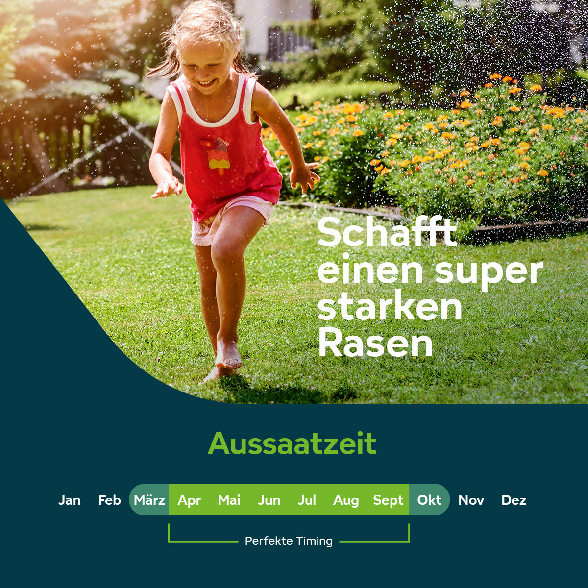 Sowgood Rasensamen für Schatten- und Trockenrasen 10 kg - 500 m² [de]